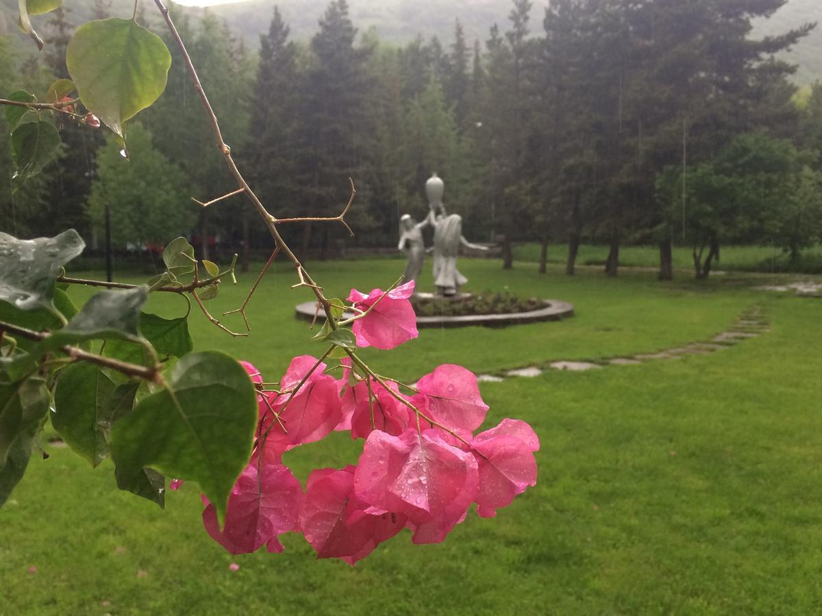 מלון Jermuk Olympia Sanatorium מראה חיצוני תמונה